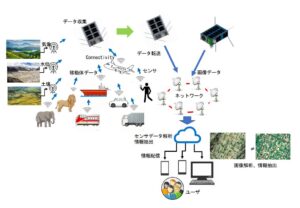 ストア＆フォワード